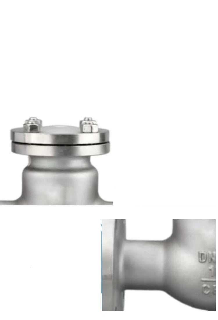 صمام عدم رجوع متأرجح من الاستانلس ستيل
